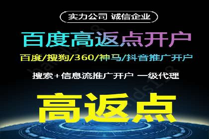 知名SEM公司案例分析：优化策略与成果